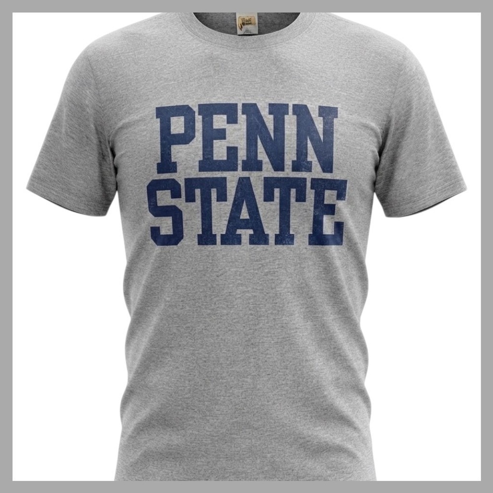 Vintage Velva Sheen Penn State T Shirt Mens Medium Heather Gray Made in USA NCAA